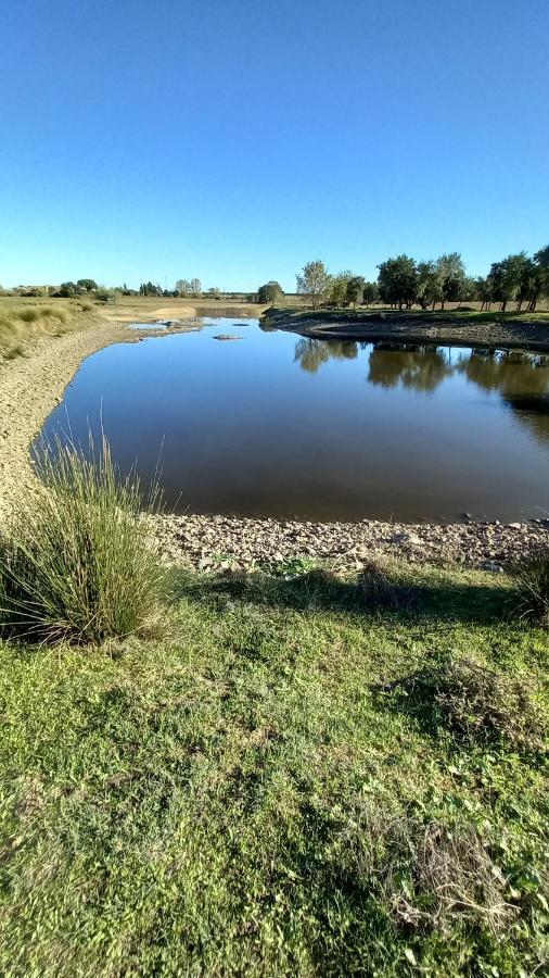 Monte Da Serralheira Agro Turismo Evora Bagian luar foto