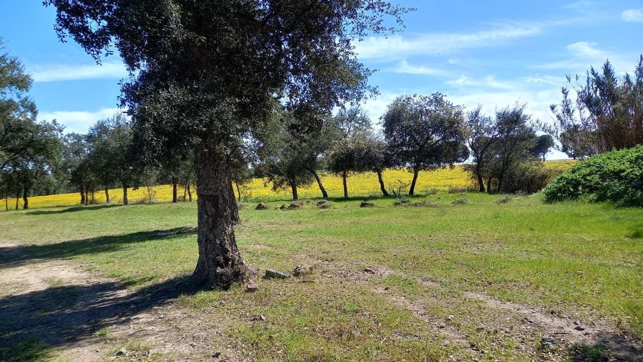 Monte Da Serralheira Agro Turismo Evora Bagian luar foto