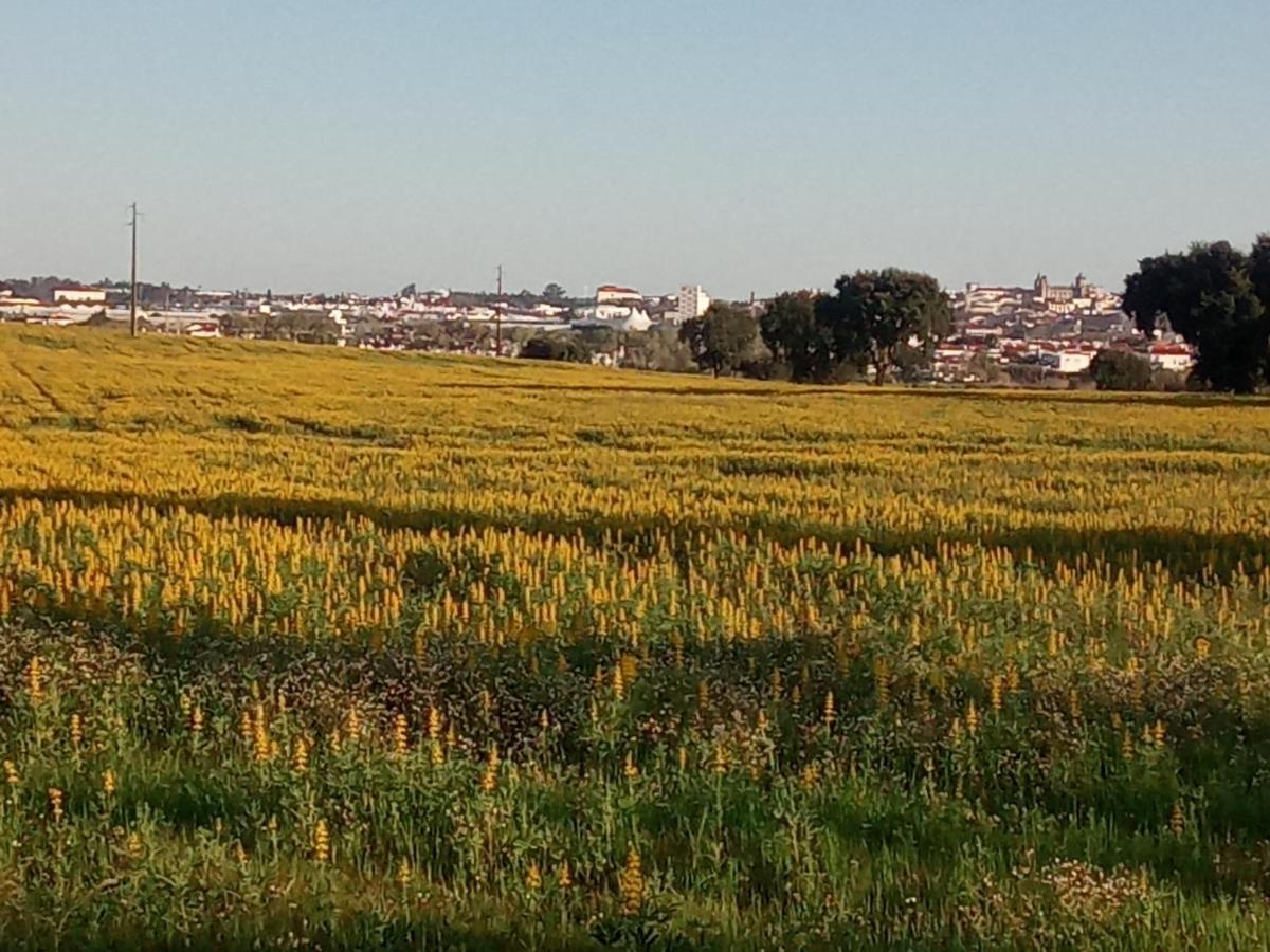 Monte Da Serralheira Agro Turismo Evora Bagian luar foto