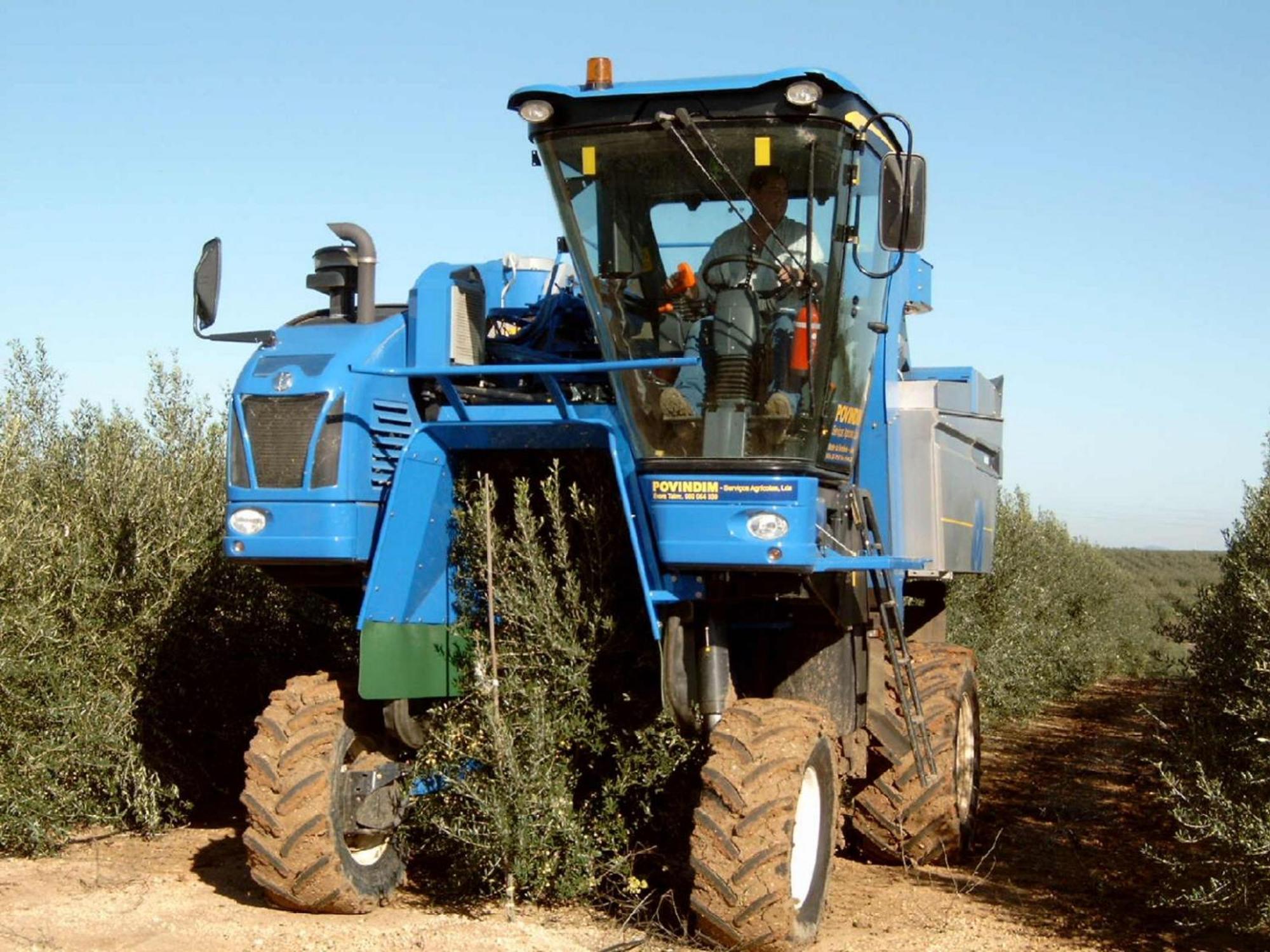 Monte Da Serralheira Agro Turismo Evora Bagian luar foto