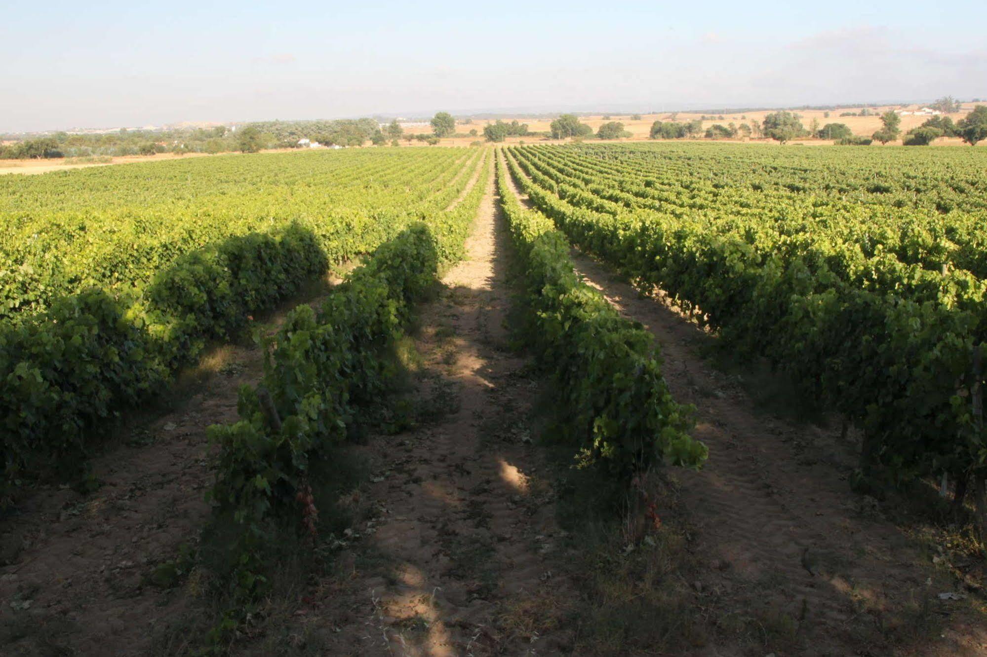 Monte Da Serralheira Agro Turismo Evora Bagian luar foto